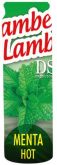 Lambe Lambe DSS Toys Menta Hot 10ml